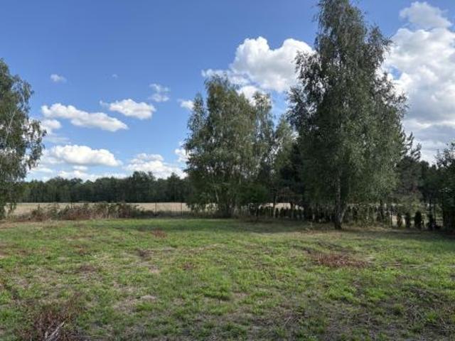 Bezpośrednio, Anielin Swędowski, ul. Kwiecista, 3001 m² Działka