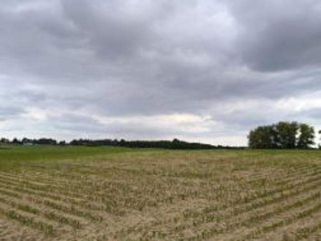 Bezpośrednio, Łabędź, 1543 m² Działka