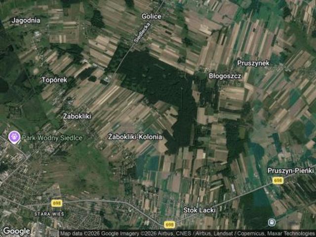 Bezpośrednio, Żabokliki Kolonia, ul. Leśna, 8188 m² Działka