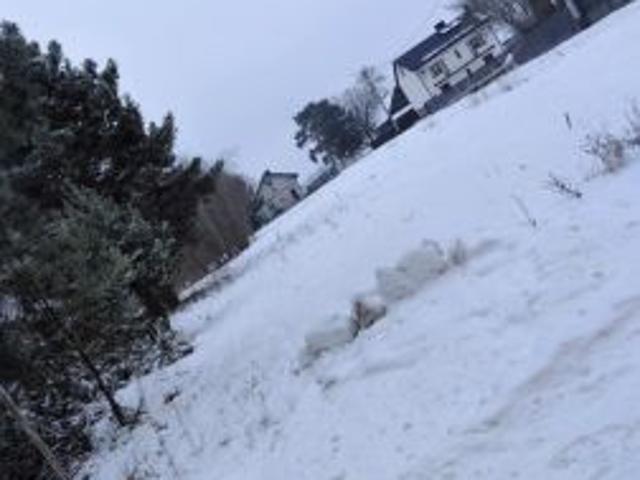 Bezpośrednio, Łachy Włościańskie, 1100 m² Działka