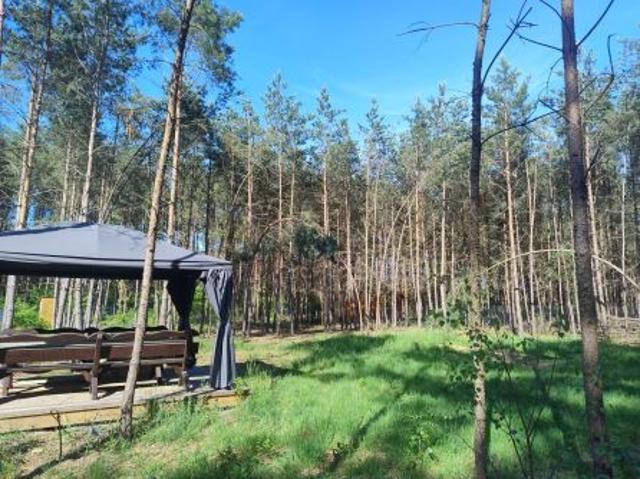 Bezpośrednio, Adamowo, 1000 m² Działka