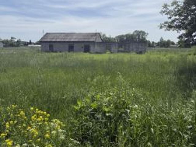 Bezpośrednio, Żalin, 3892 m² Działka