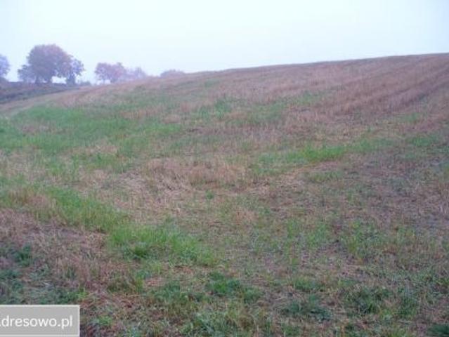 Bezpośrednio, Łapinóżek, 6000 m² Działka