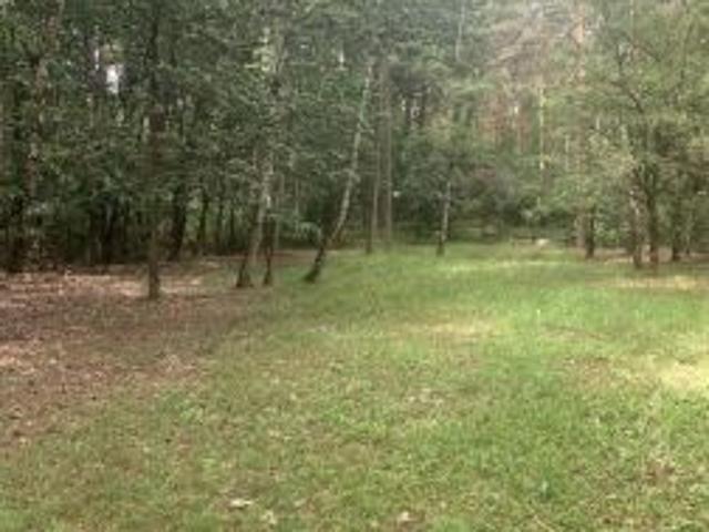 Bezpośrednio, Apolonia, ul. Akacjowa, 760 m² Działka