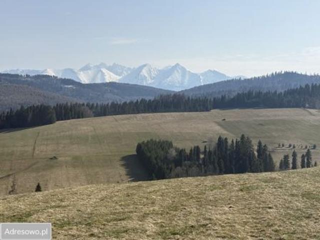 Bezpośrednio, Łapsze Niżne, 200 m² Działka