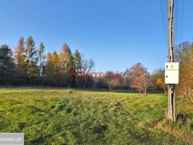 Bezpośrednio, Arciechów, ul. Dąbrowiecka, 23150 m² Działka