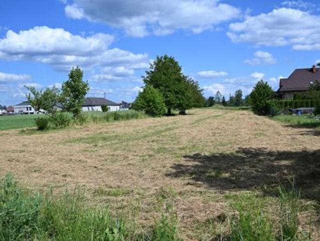 Bezpośrednio, Augustów, Borki, ul. Żurawia, 2544 m² Działka