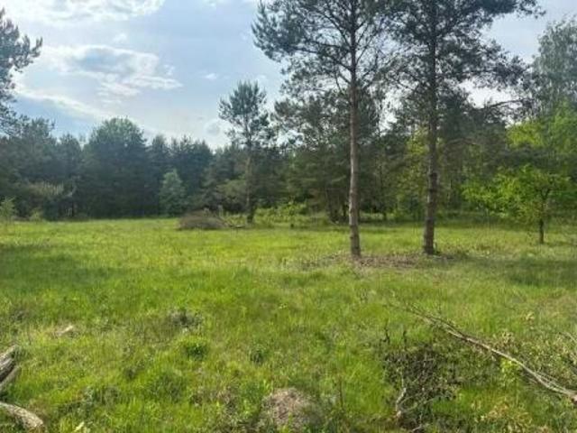 Bezpośrednio, Augustówek, 2500 m² Działka