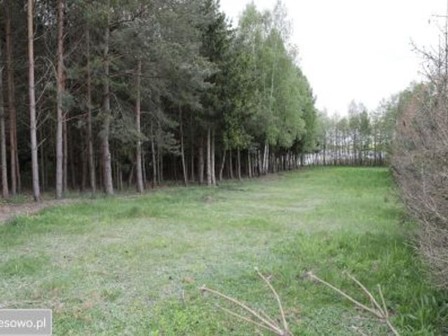 Bezpośrednio, Ławki, 4000 m² Działka