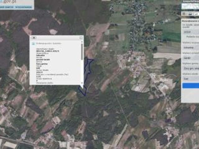 Bezpośrednio, Łaz, 40000 m² Działka