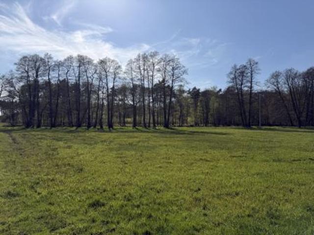 Bezpośrednio, Łaziska Górne, Brada, ul. Cieszyńska, 882 m² Działka