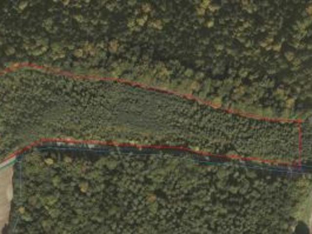 Bezpośrednio, Błażowa, 36500 m² Działka