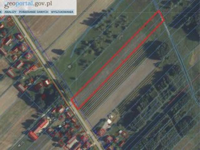 Bezpośrednio, Błaziny Dolne, 6300 m² Działka