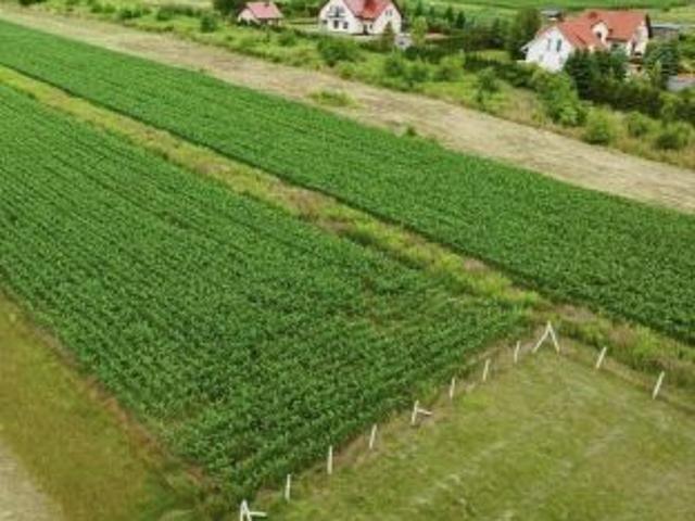 Bezpośrednio, Bębło, ul. Zachodnia, 847 m² Działka