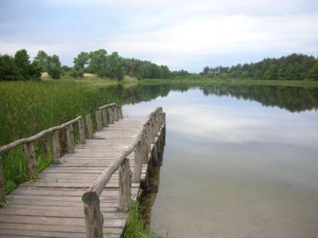 Bezpośrednio, Będzeń, 4600 m² Działka