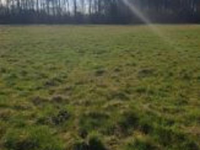 Bezpośrednio, Będzinko, 1000 m² Działka
