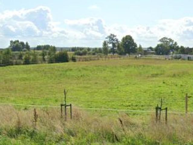 Bezpośrednio, Bobolin, 6000 m² Działka