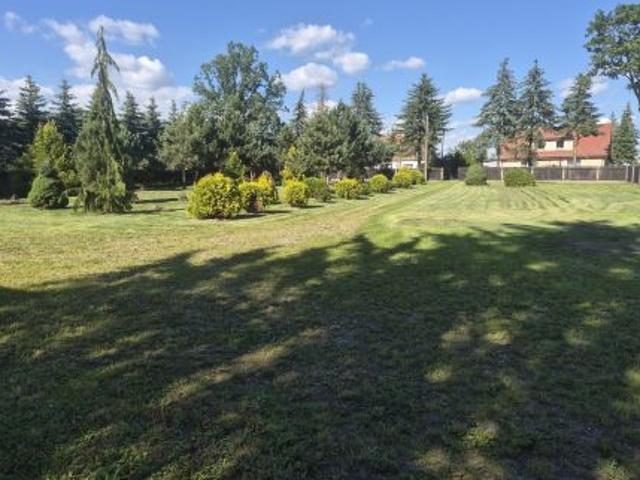 Bezpośrednio, Bobry, 8000 m² Działka