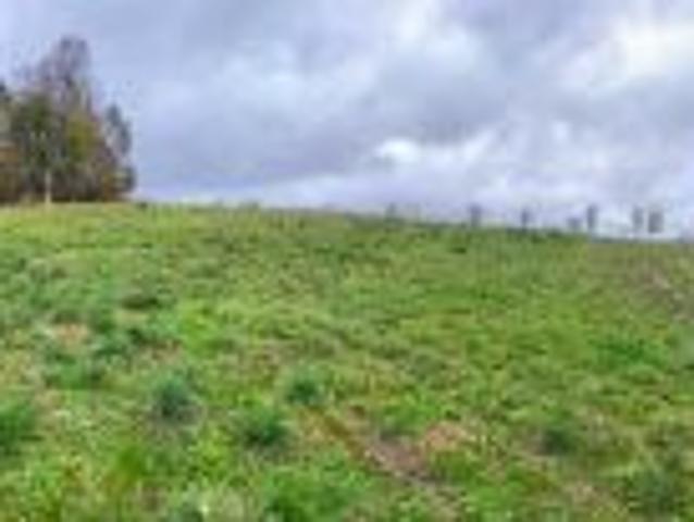 Bezpośrednio, Bodzanów, 2500 m² Działka