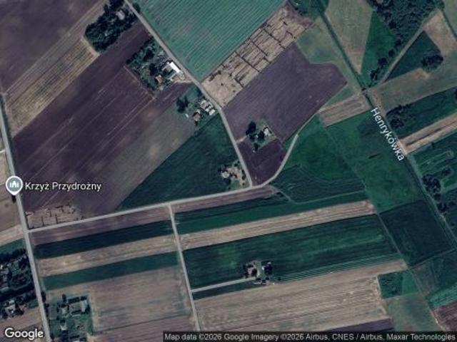 Bezpośrednio, Bogucice, Kolonia, 10000 m² Działka