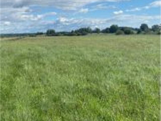 Bezpośrednio, Bogusze, 21324 m² Działka