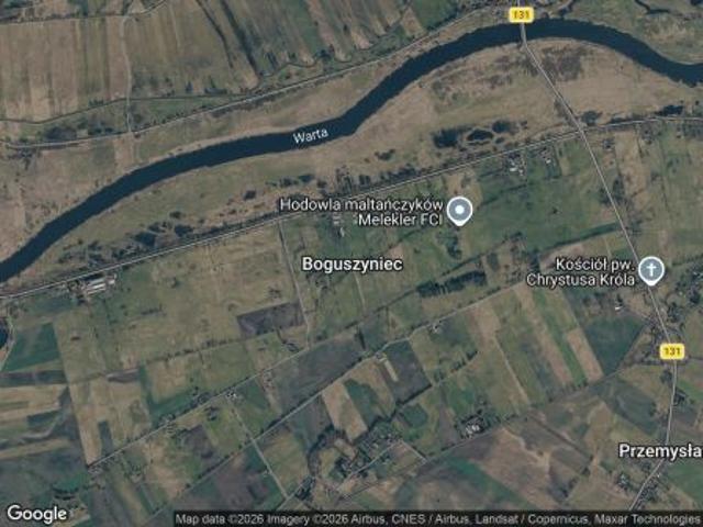 Bezpośrednio, Boguszyniec, 152000 m² Działka