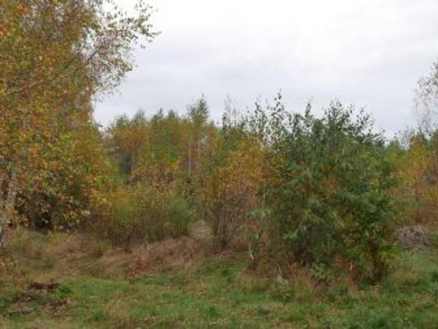 Bezpośrednio, Bojano, Czarna Góra, ul. Okrężna, 1098 m² Działka