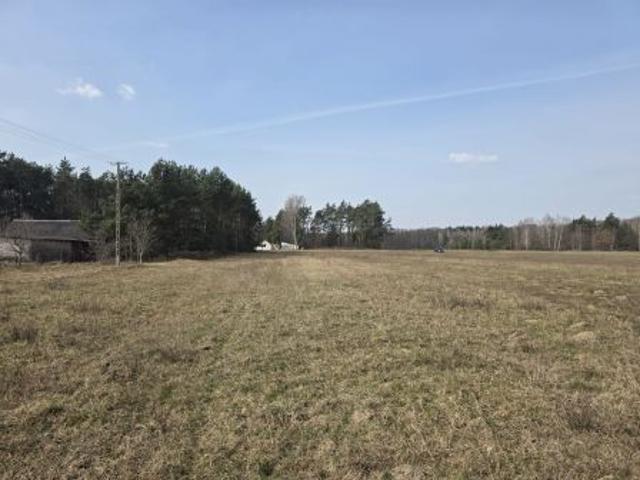 Bezpośrednio, Bojmie, ul. Lipowa, 1124 m² Działka