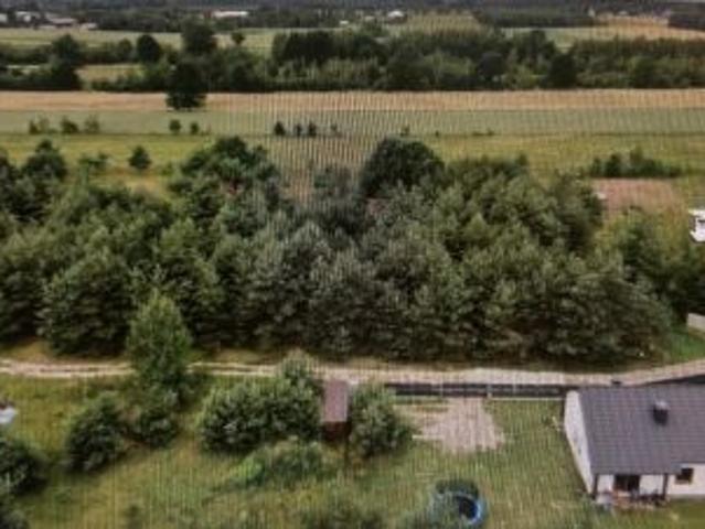 Bezpośrednio, Bolesławowo, al. Dębów, 1447 m² Działka