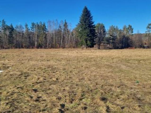 Bezpośrednio, Bolszewo, ul. Poprzeczna, 10000 m² Działka