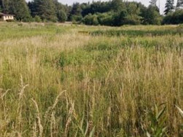 Bezpośrednio, Boluminek, 4000 m² Działka