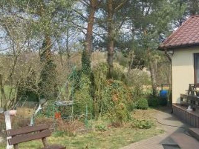 Bezpośrednio, Borek, 60 m² Dom