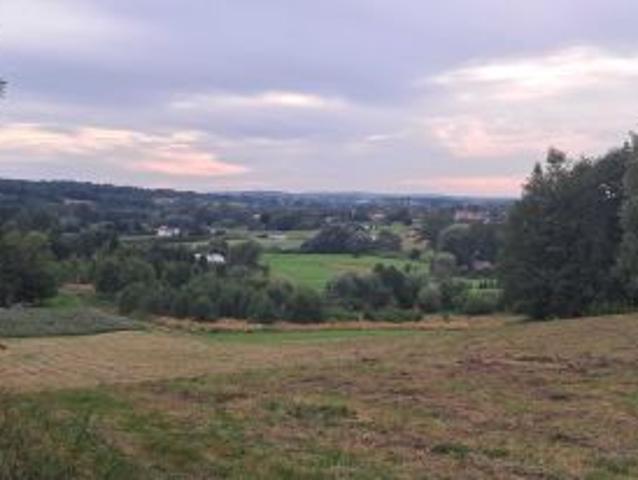 Bezpośrednio, Borek Stary, 35200 m² Działka