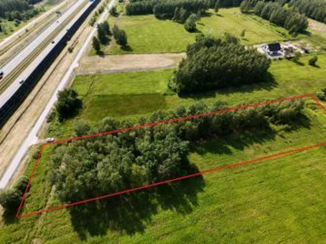 Bezpośrednio, Borek Wielki, Poręby, 7100 m² Działka