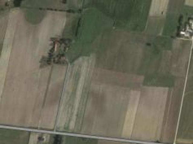 Bezpośrednio, Borki, 1200 m² Działka