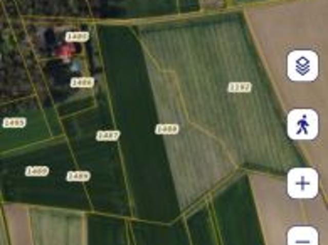 Bezpośrednio, Borki Wielkie, ul. Leśna, 33843 m² Działka