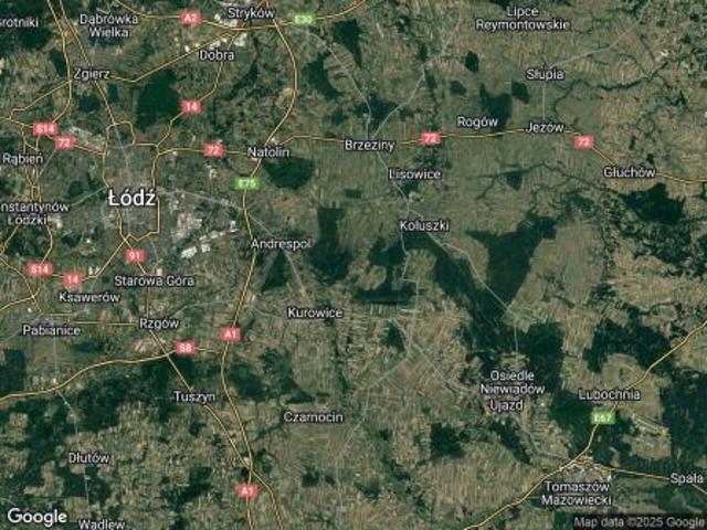 Bezpośrednio, Borowa, ul. Długa, 1600 m² Działka