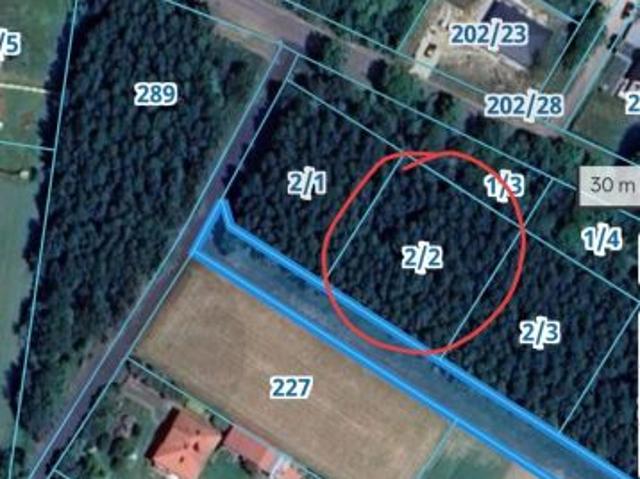 Bezpośrednio, Borowa, ul. Skrajna, 1364 m² Działka