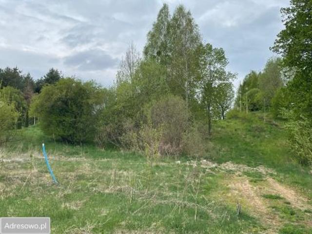 Bezpośrednio, Borowe, 896 m² Działka