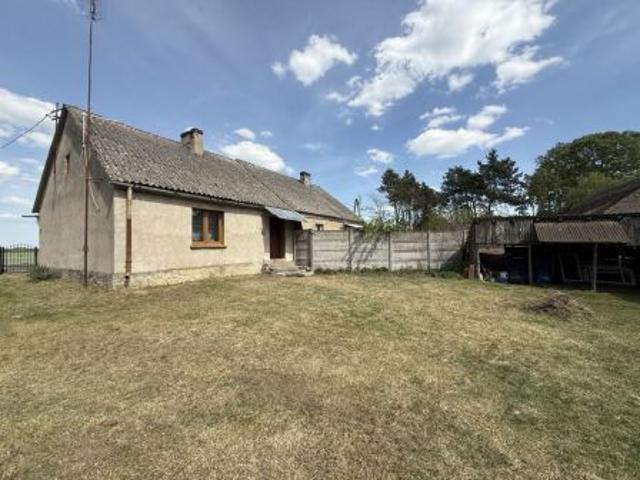 Bezpośrednio, Borówki, 67 m² Dom