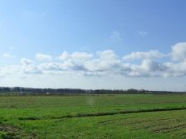Bezpośrednio, Borownica, Laski, 30000 m² Działka