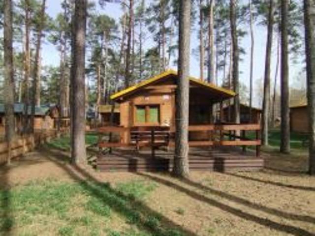 Bezpośrednio, Borsk, 30 m² Dom