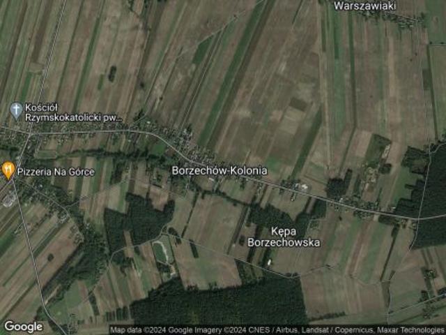 Bezpośrednio, Borzechów Kolonia, 74800 m² Działka
