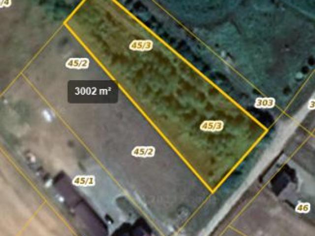 Bezpośrednio, Borzym, 3002 m² Działka