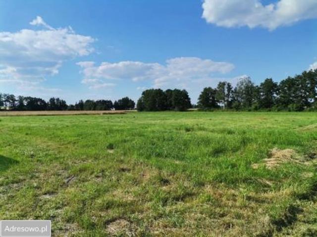 Bezpośrednio, Boszkowo, 390 m² Działka
