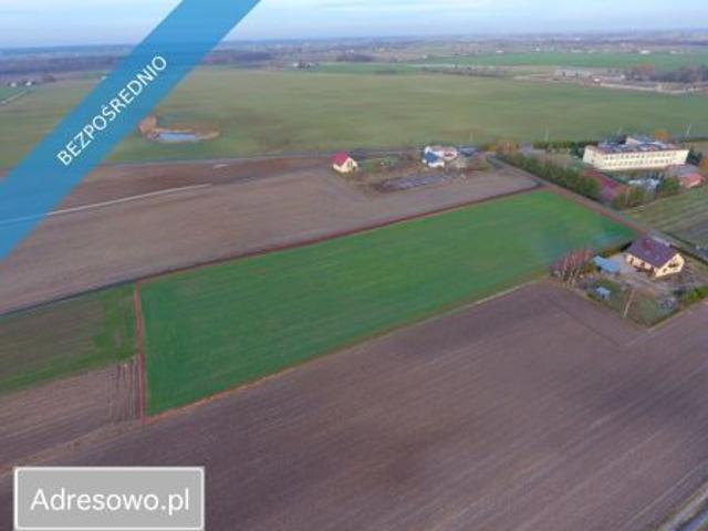 Bezpośrednio, Babiak, 10192 m² Działka
