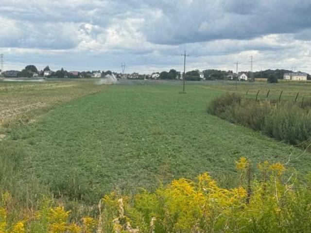 Bezpośrednio, Babice Nowe, ul. Ogrodnicza, 6600 m² Działka