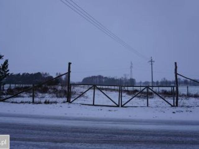 Bezpośrednio, Barłogi, 12400 m² Działka