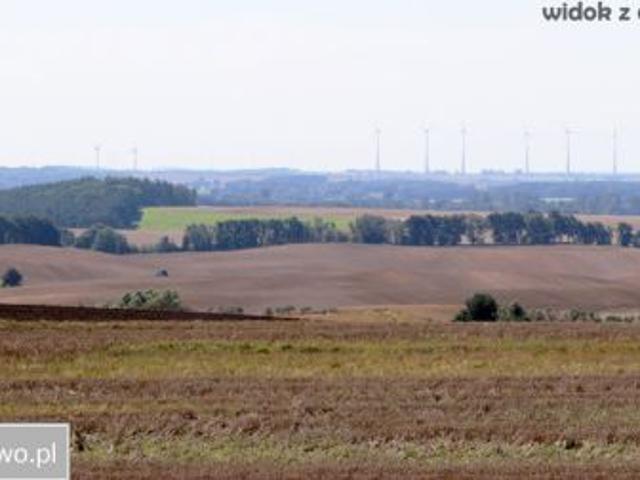 Bezpośrednio, Barnisław, 31700 m² Działka