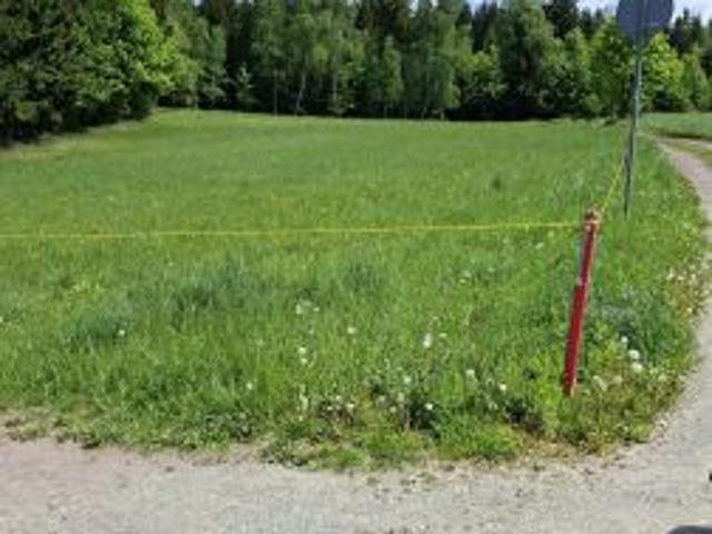 Bezpośrednio, Bartnica, Wyrębina, 2842 m² Działka